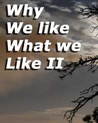 Why we like what we like II