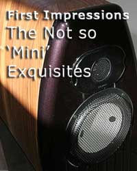 The not so Mini Exquisites - First Impressions