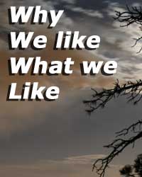 Why we like what we like