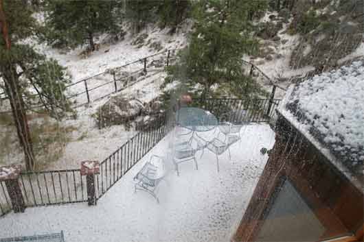 The backyard covered in white.