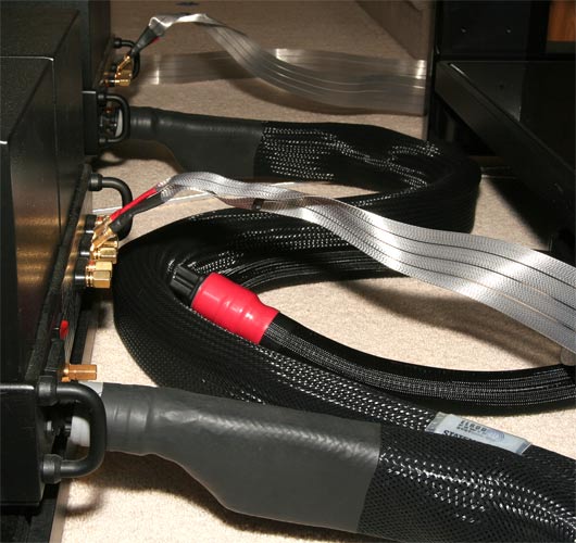 The power cords powering the ML2.1