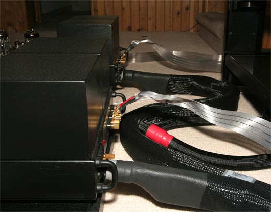 The power cords powering the ML2.1