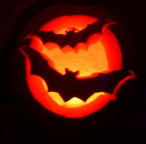halloween bat